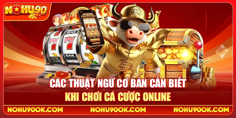 Các thuật ngữ cơ bản cần biết khi chơi cá cược online